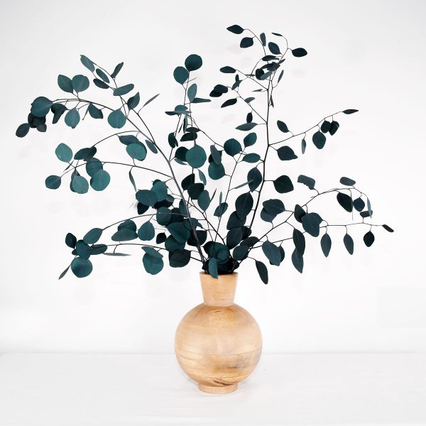 Surella - Preserved Euculyptus Populus Green Stems Brown Vase