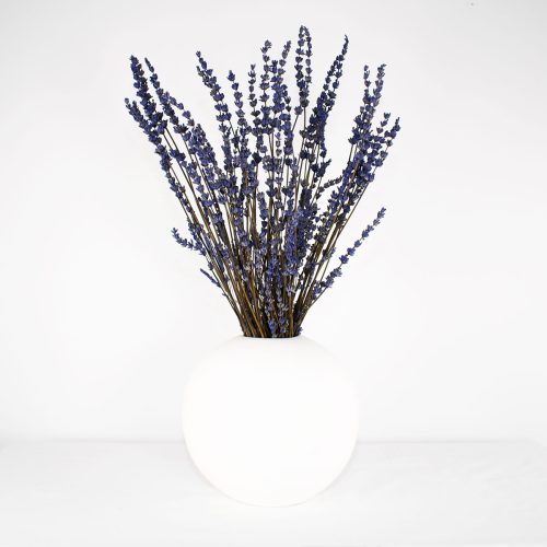 Surella - Preserved Lavender Stems White Vase