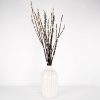 Surella Dried Pussy Willow Stems White Vase