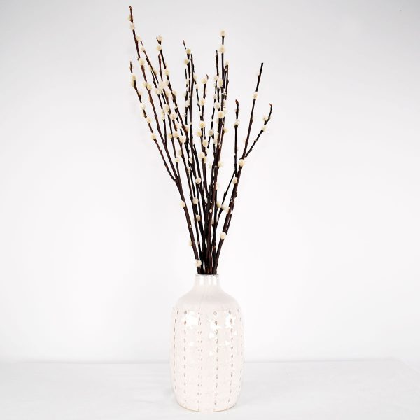 Surella Dried Pussy Willow Stems White Vase