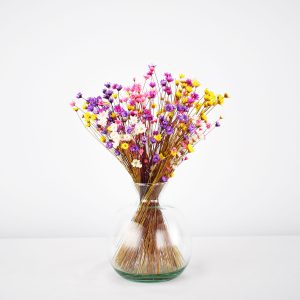 Surella - Wildflower Meadow Mini